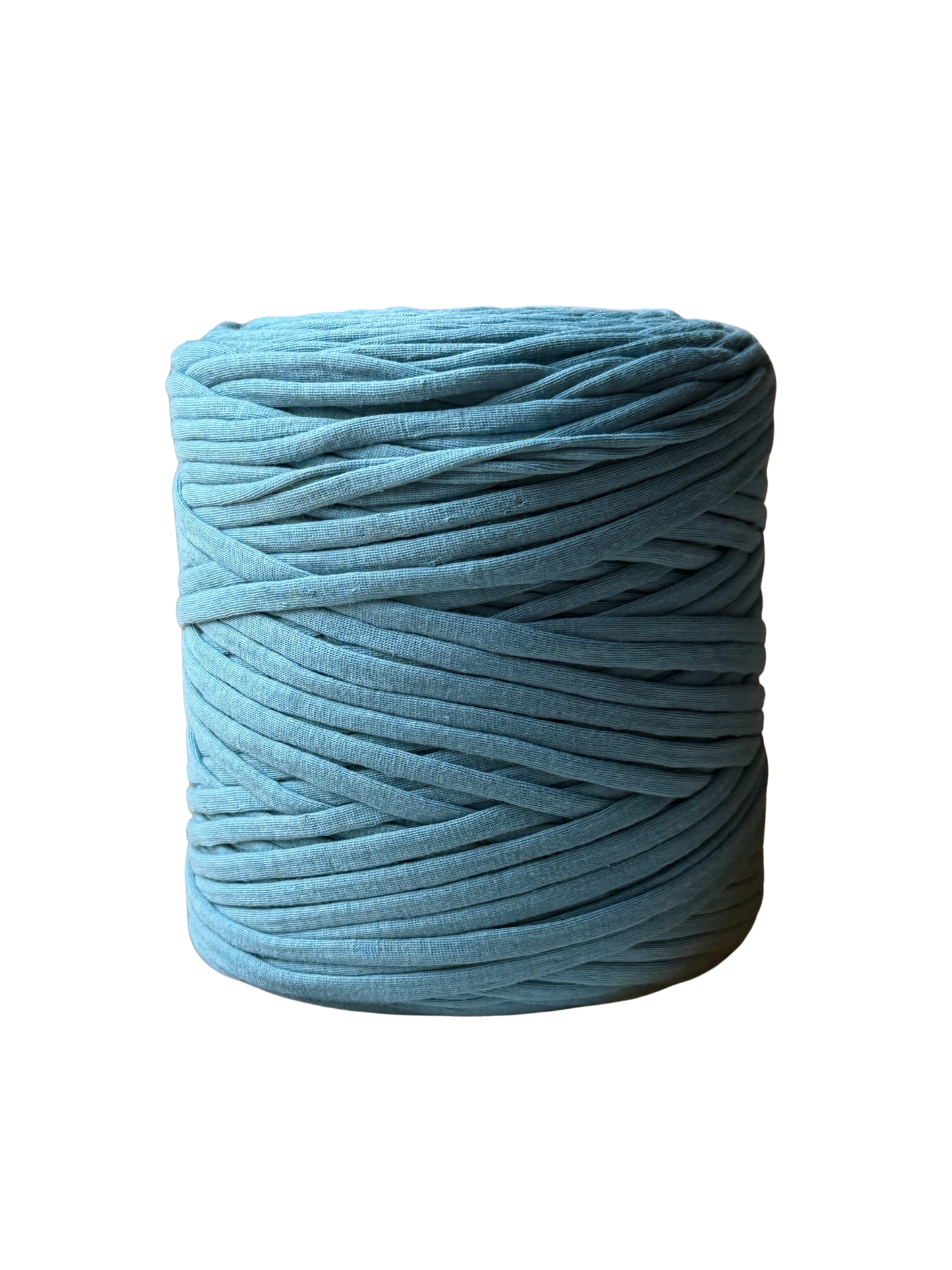 Zpagetti T-Shirt Yarn - Celestyn