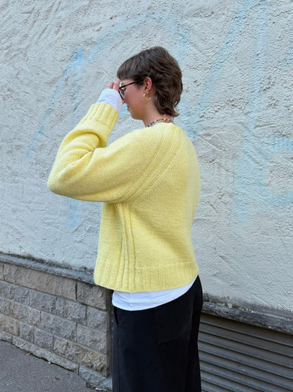 Rosa Raglan - Garnpaket