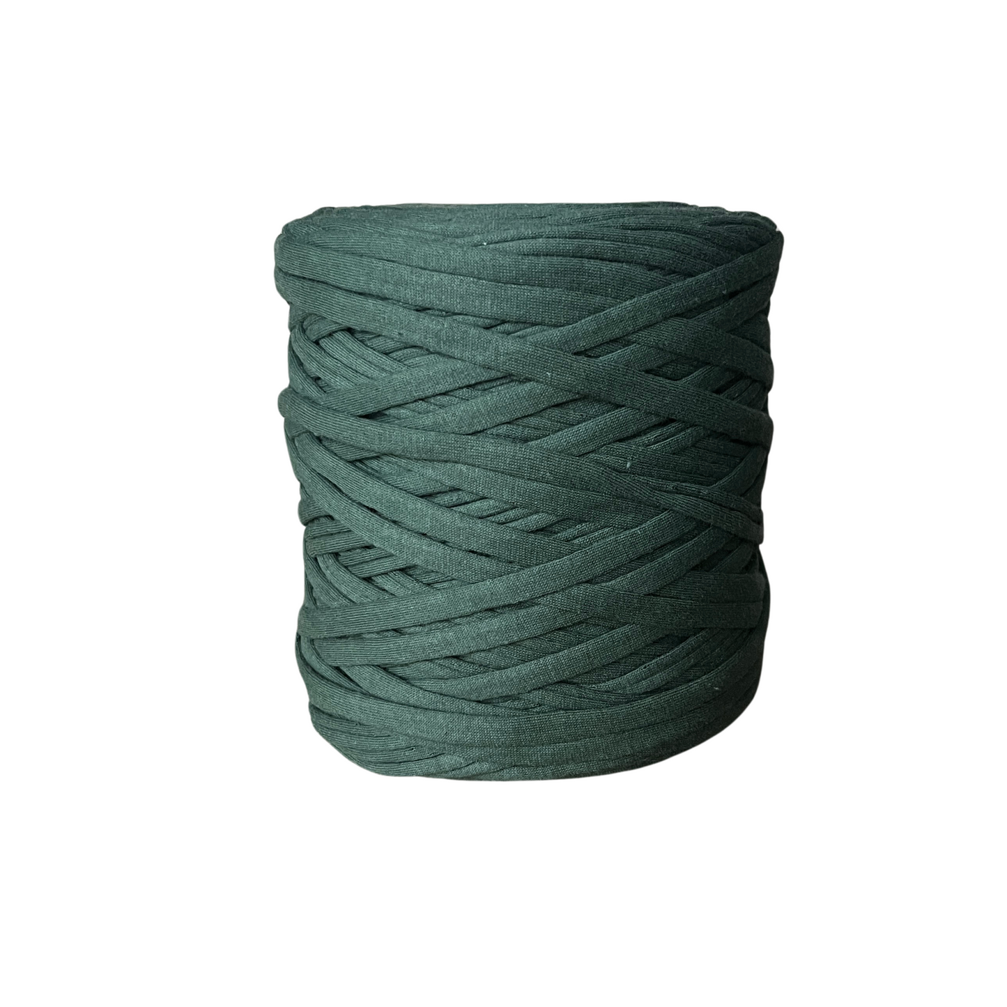 ZPAGETTI T-SHIRT YARN Shamrock Green | 120m, 700g